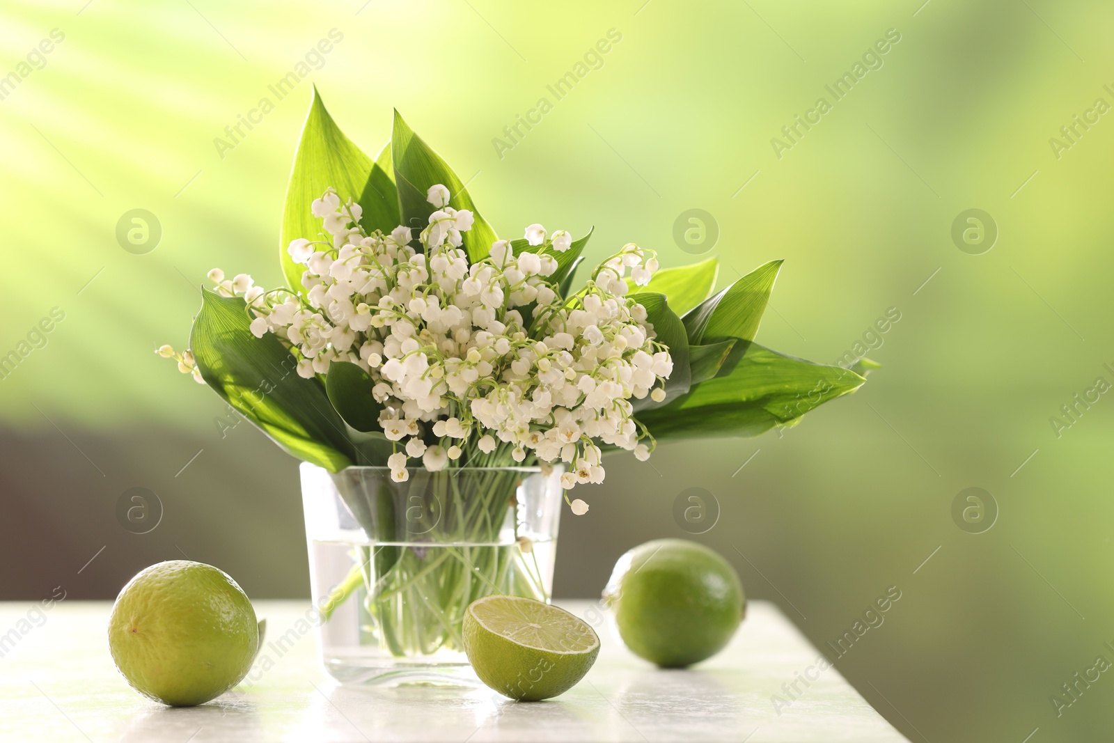 Beautiful lilies of the valley flowers in vase and limes on white table against blurred background Photo of Beautiful lilies of the valley flowers in vase and limes on white table against blurred background