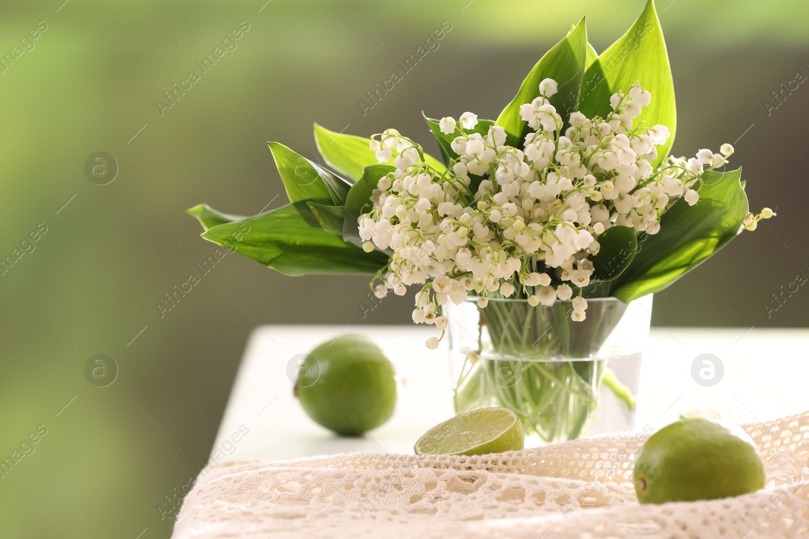 Beautiful lilies of the valley flowers in vase and limes on white table against blurred background Photo of Beautiful lilies of the valley flowers in vase and limes on white table against blurred background