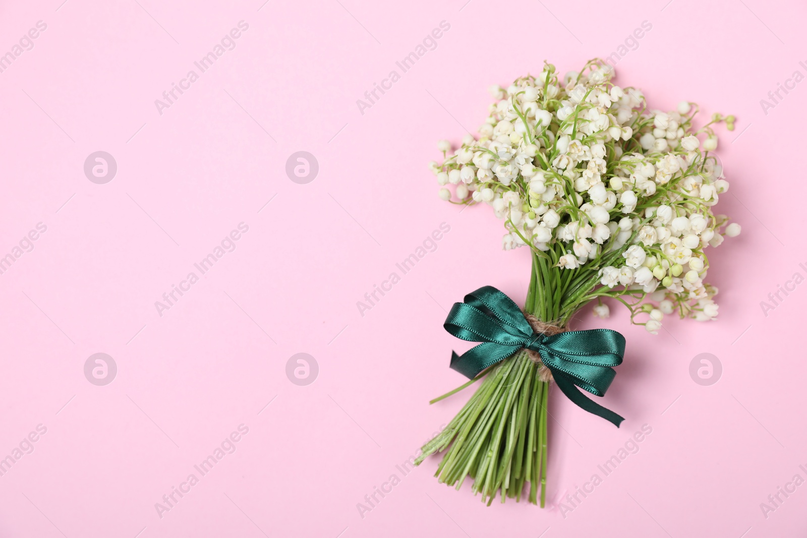 Beautiful lily-of-the-valley flowers on light pink background, top view. Space for text Photo of Beautiful lily-of-the-valley flowers on light pink background, top view. Space for text