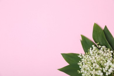 Photo of Beautiful lily-of-the-valley flowers on light pink background, top view. Space for text