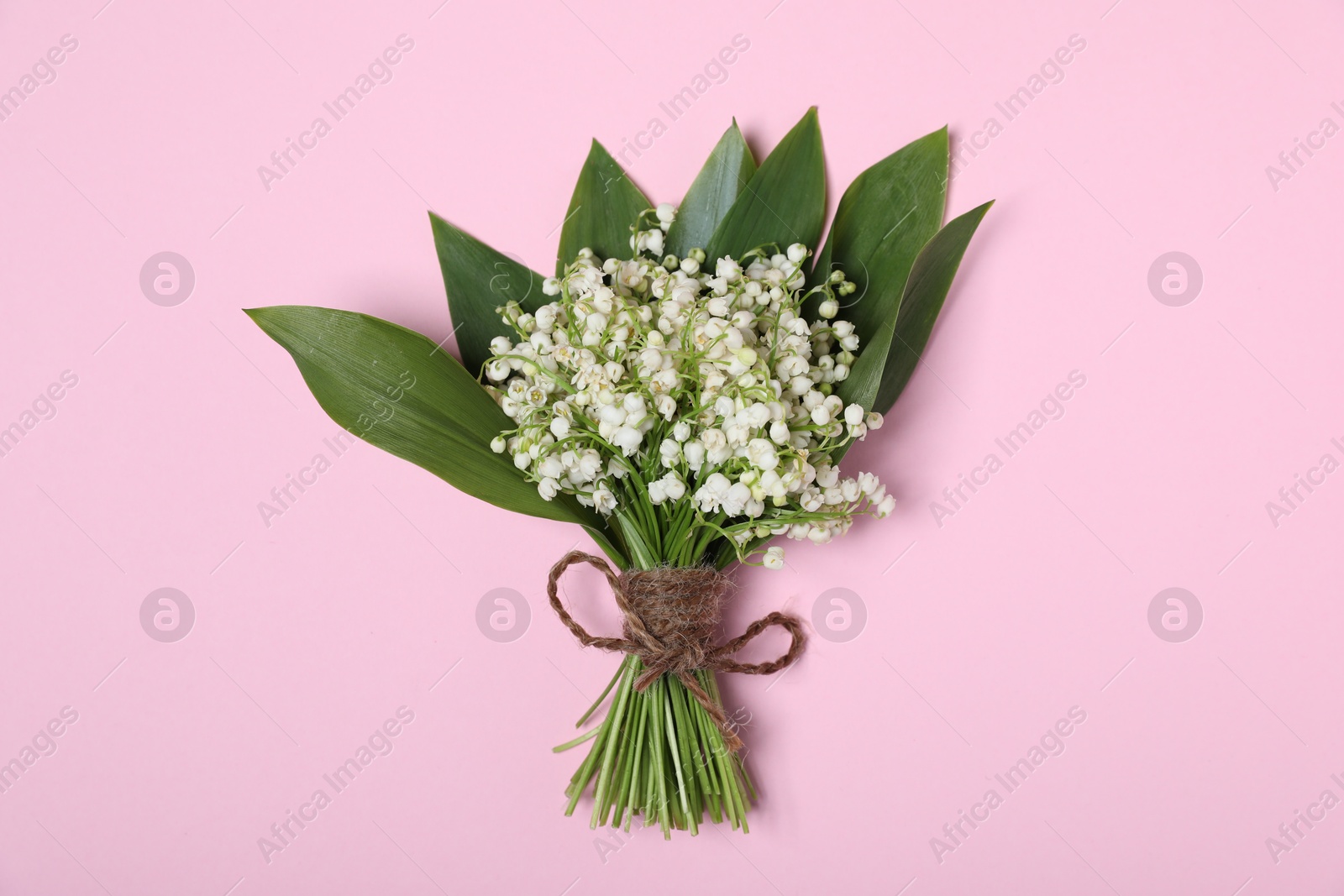 Beautiful lily-of-the-valley flowers on light pink background, top view Photo of Beautiful lily-of-the-valley flowers on light pink background, top view