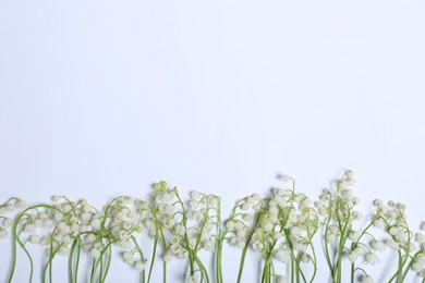 Photo of Beautiful lily-of-the-valley flowers on white background, flat lay. Space for text