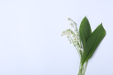 Photo of Beautiful lily-of-the-valley flowers and leaves on white background, top view. Space for text
