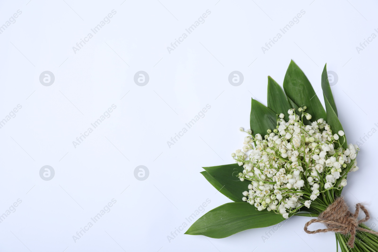 Beautiful lily-of-the-valley flowers on white background, top view. Space for text Photo of Beautiful lily-of-the-valley flowers on white background, top view. Space for text