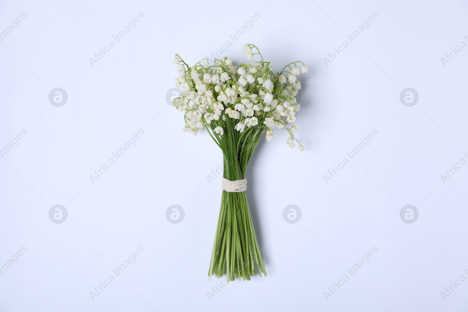 Beautiful lily-of-the-valley flowers on white background, top view Photo of Beautiful lily-of-the-valley flowers on white background, top view