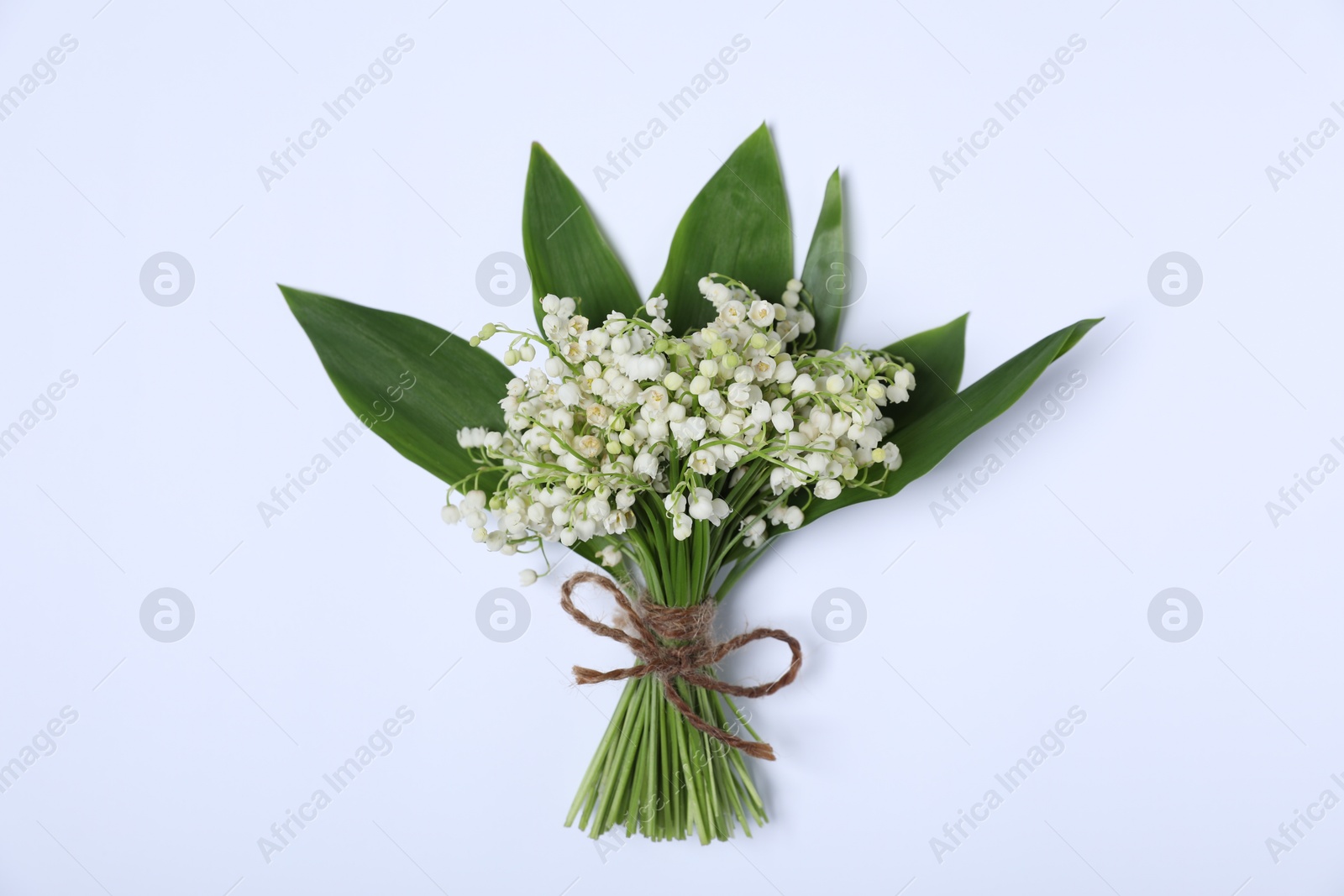 Beautiful lily-of-the-valley flowers on white background, top view Photo of Beautiful lily-of-the-valley flowers on white background, top view