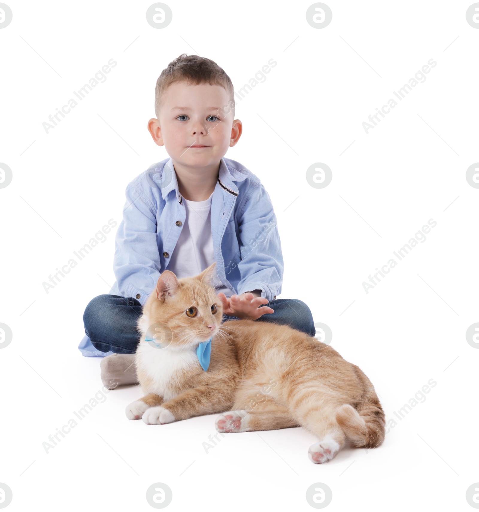 Photo of Little boy with her cute ginger cat on white background