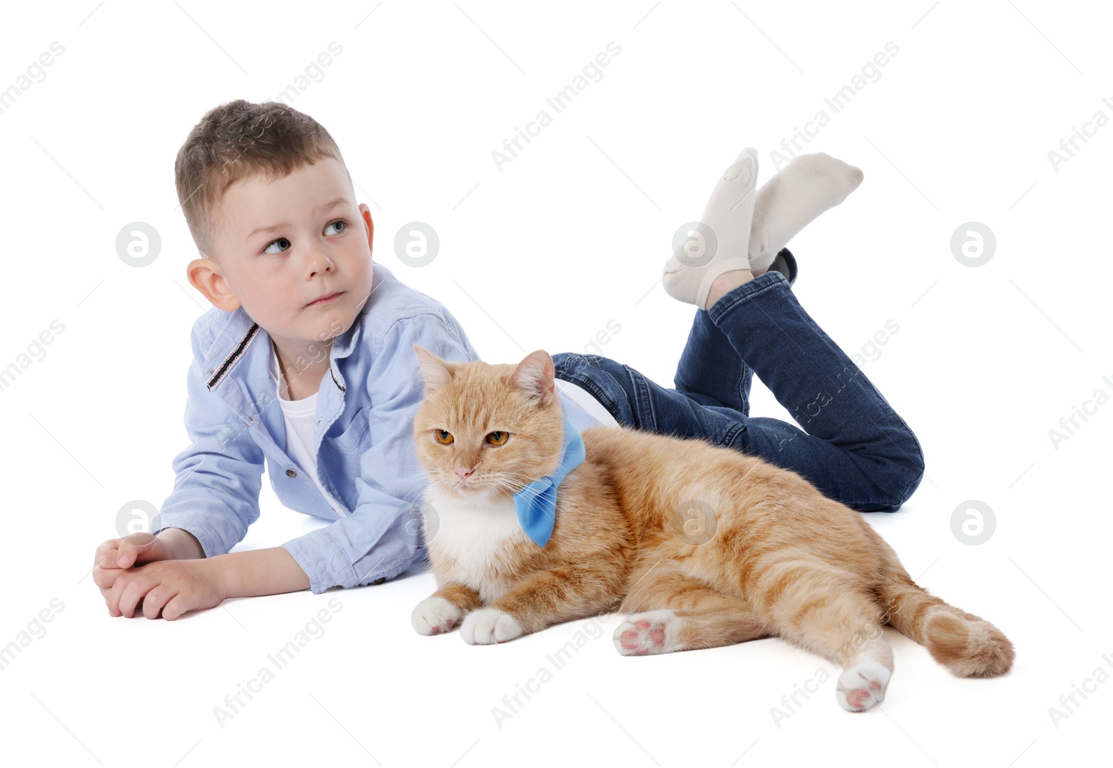 Photo of Little boy with her cute ginger cat on white background