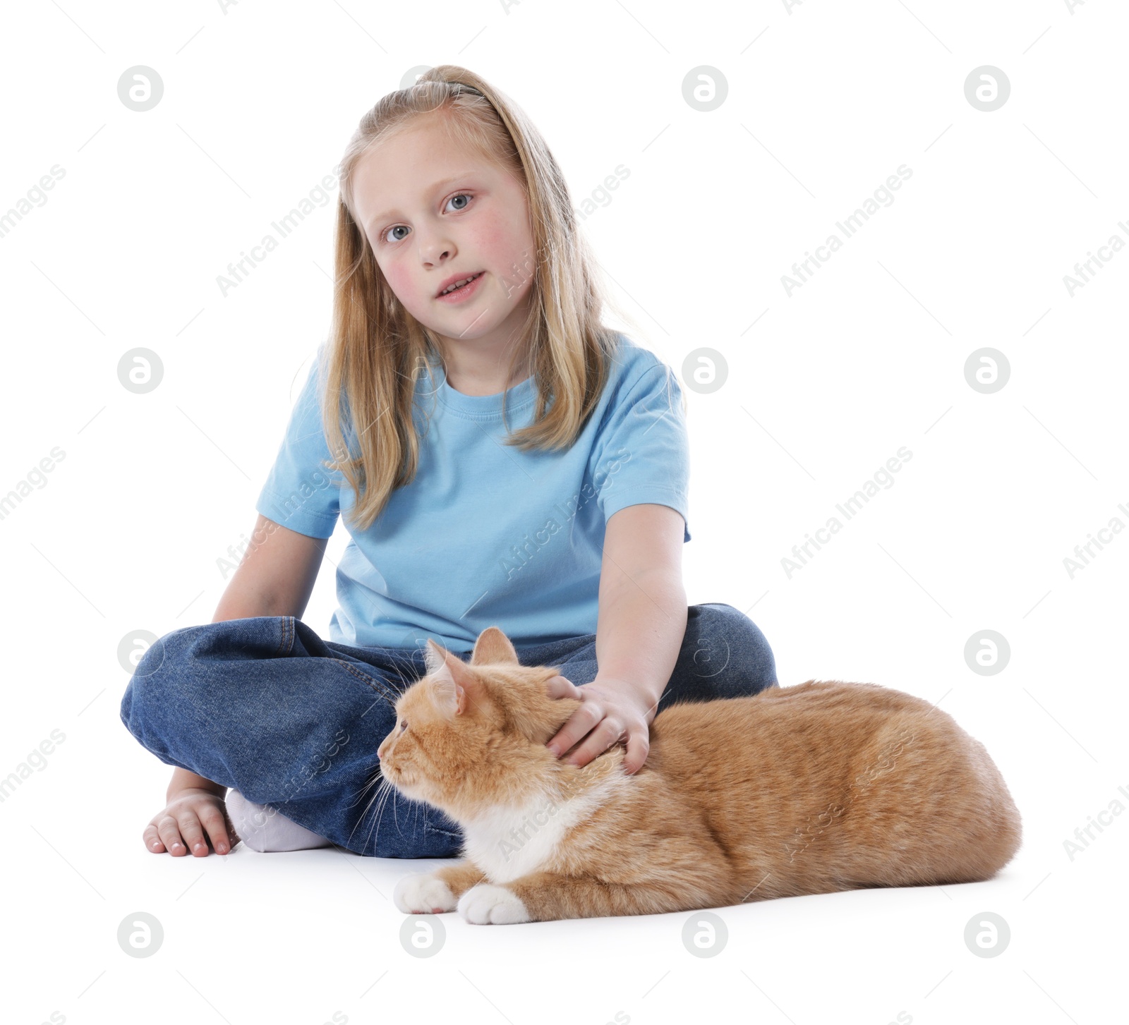 Little girl with her cute ginger cat on white background Photo of Little girl with her cute ginger cat on white background