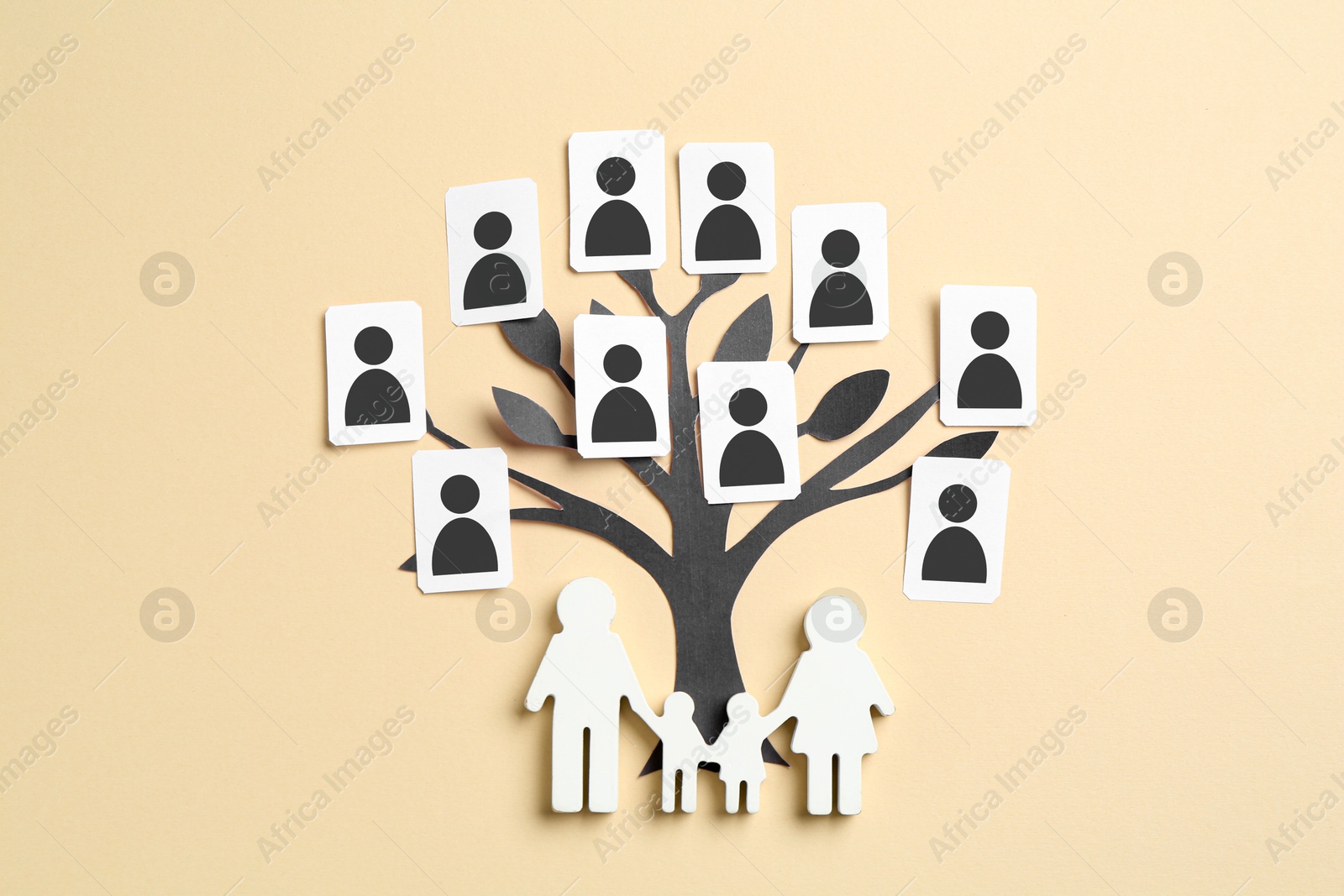Family tree. Cards with human icons attached to paper tree on beige background, top view Image of Family tree. Cards with human icons attached to paper tree on beige background, top view