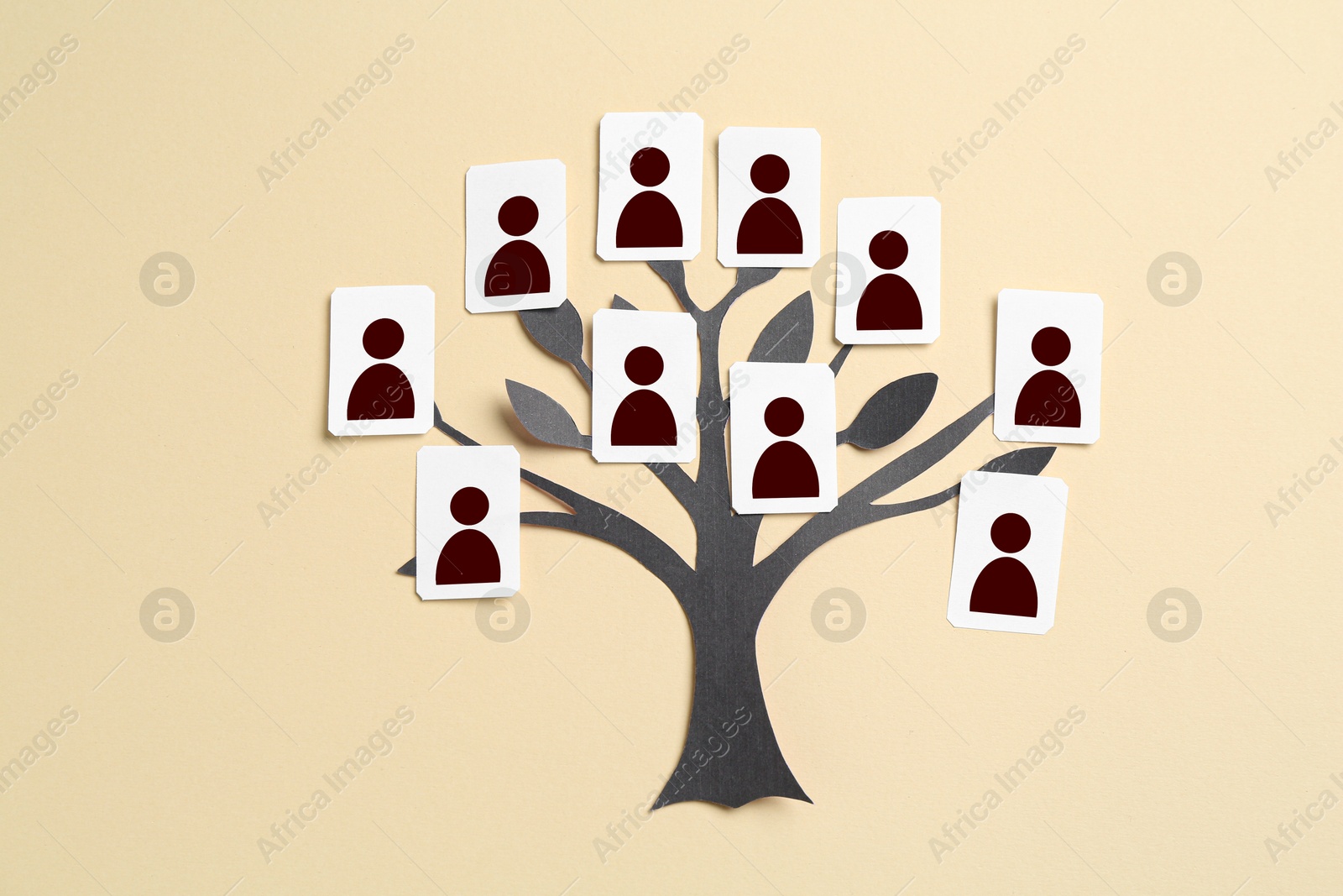 Family tree. Cards with human icons attached to paper tree on beige background, top view Image of Family tree. Cards with human icons attached to paper tree on beige background, top view