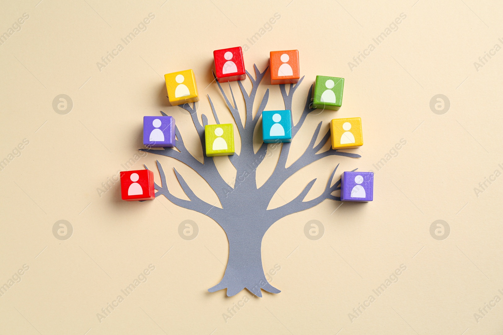 Family tree. Colorful cubes with human icons and paper tree on beige background, top view Image of Family tree. Colorful cubes with human icons and paper tree on beige background, top view