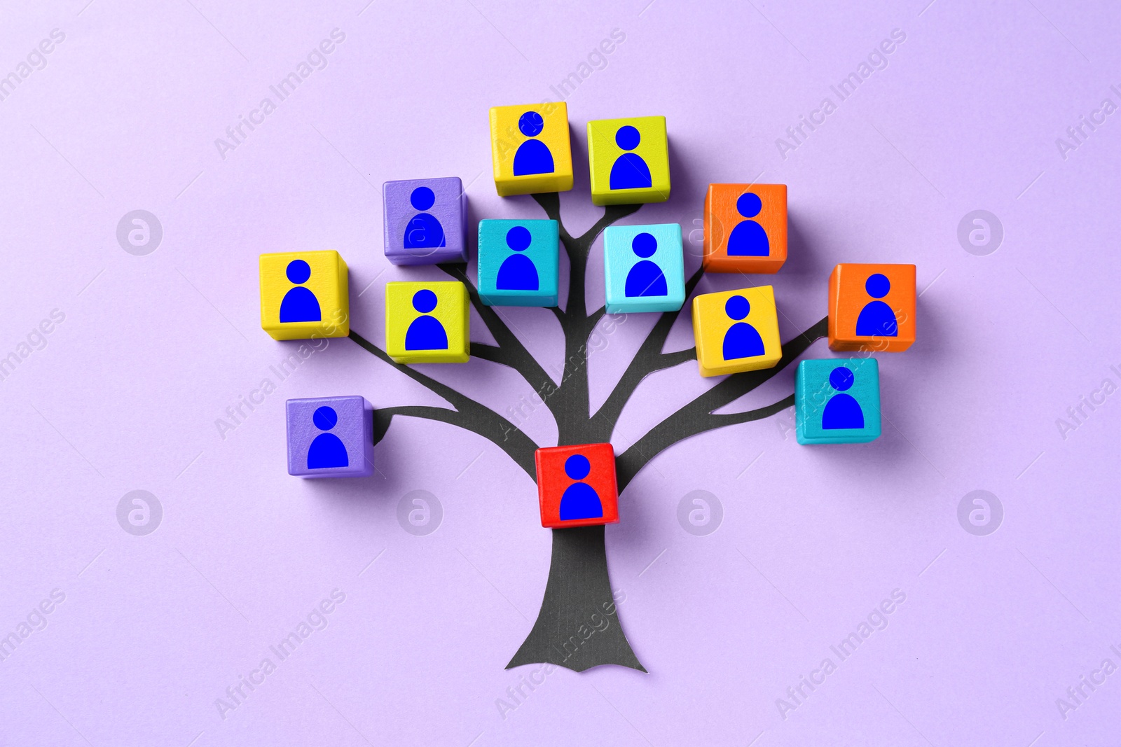 Family tree. Colorful cubes with human icons and paper tree on violet background, top view Image of Family tree. Colorful cubes with human icons and paper tree on violet background, top view