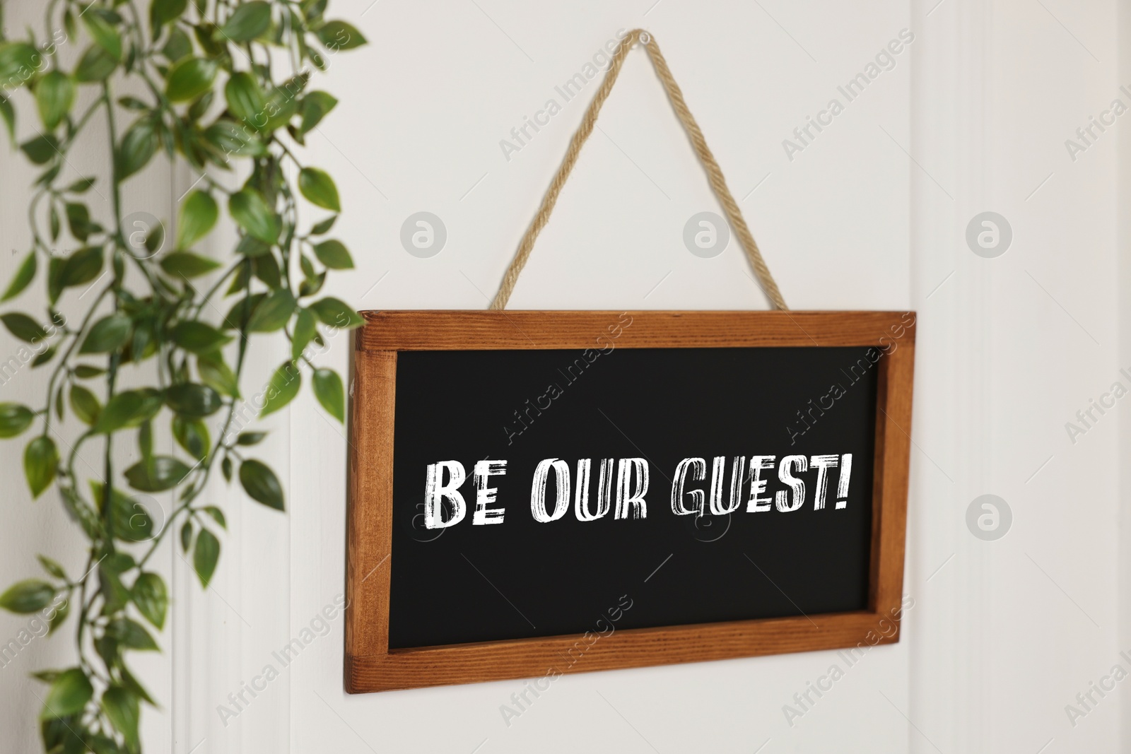 Small blackboard with phrase Be Our Guest and houseplant hanging on white wall Image of Small blackboard with phrase Be Our Guest and houseplant hanging on white wall
