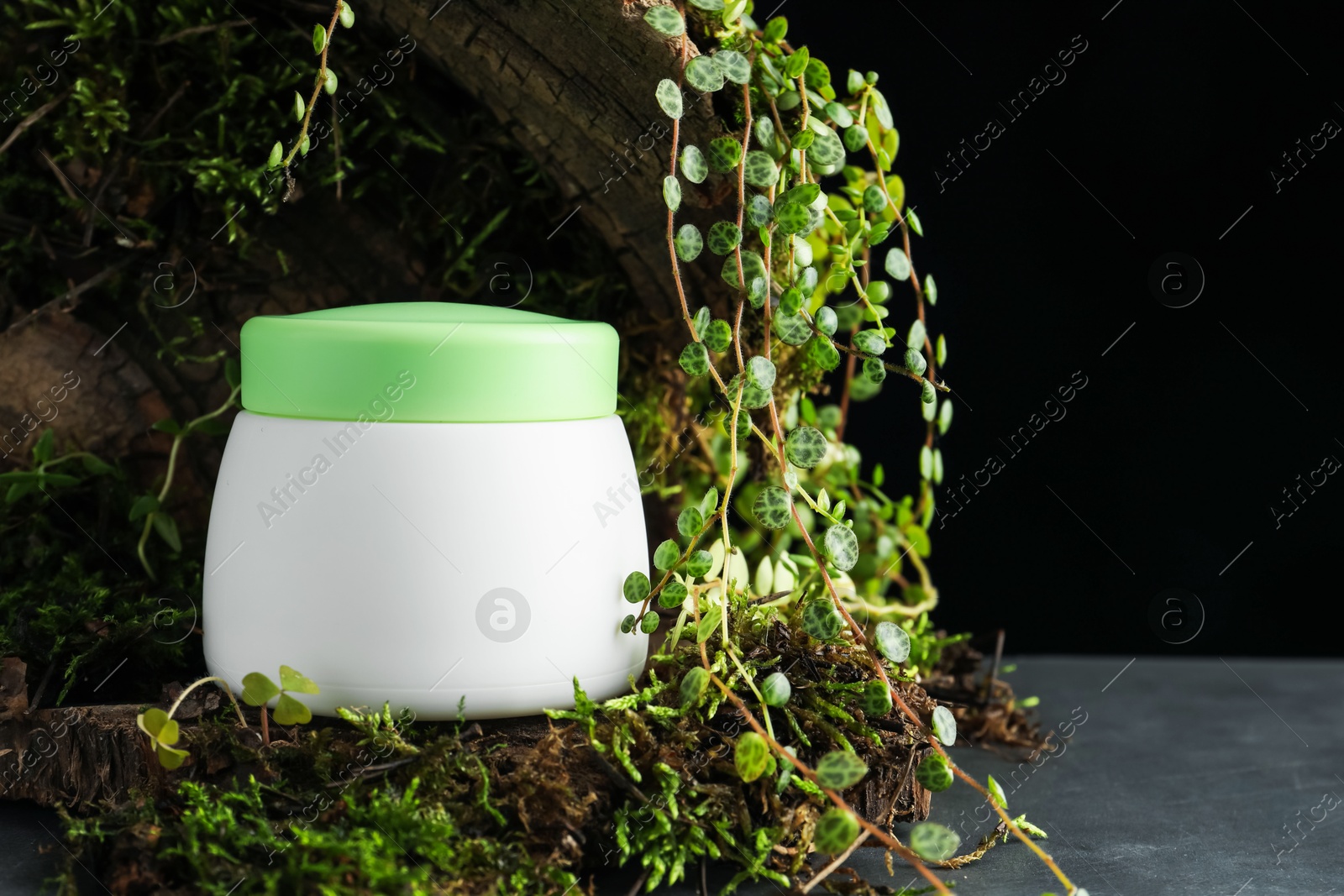 Jar of moisturizing body cream, tree bark and plants on grey table, closeup. Space for text Photo of Jar of moisturizing body cream, tree bark and plants on grey table, closeup. Space for text