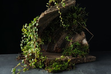 Photo of Tree bark with plants on grey table, closeup. Stylish presentation for product