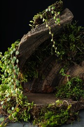 Photo of Tree bark with plants on grey table, closeup. Stylish presentation for product