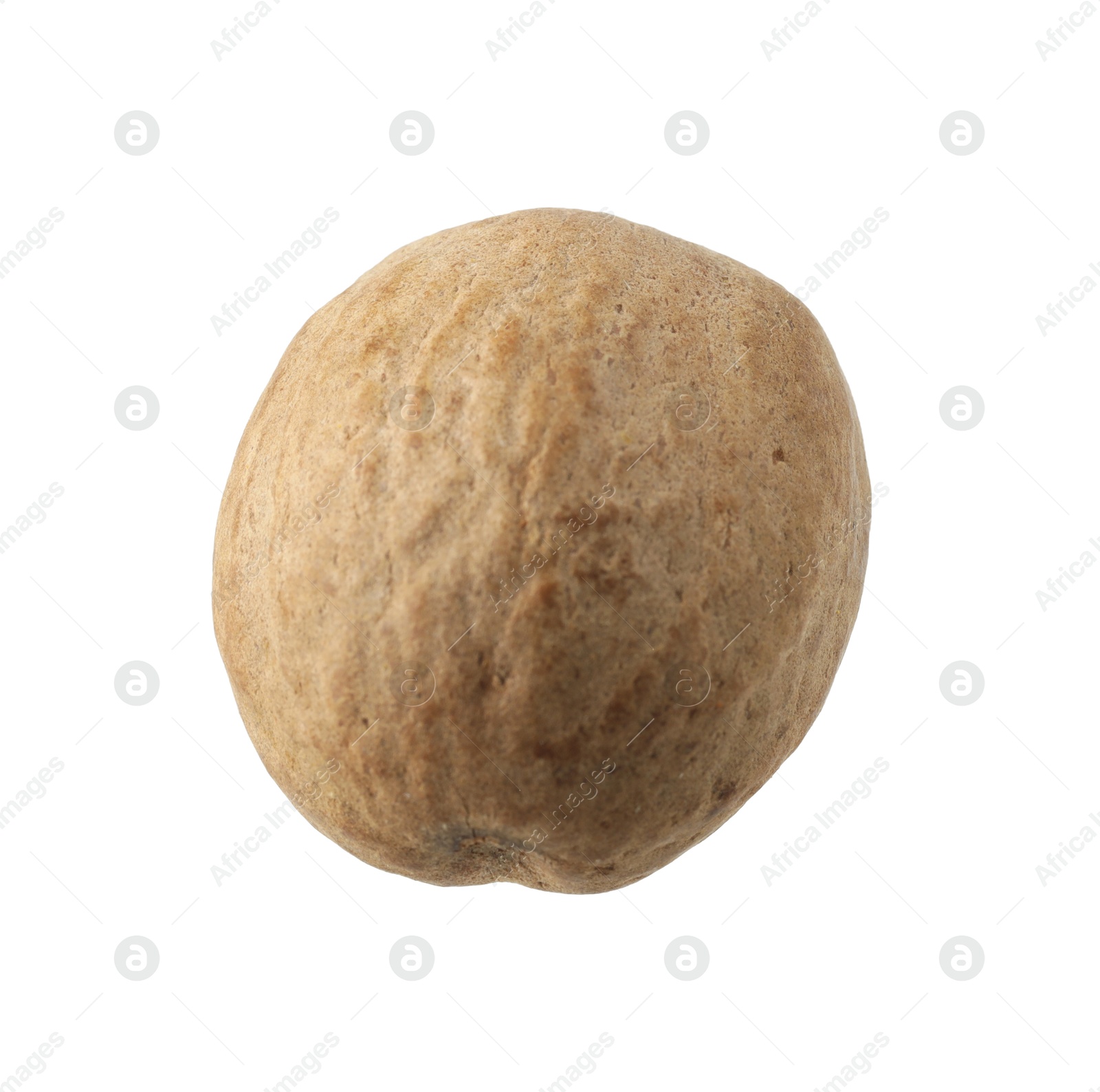 One whole nutmeg in air isolated on white Photo of One whole nutmeg in air isolated on white