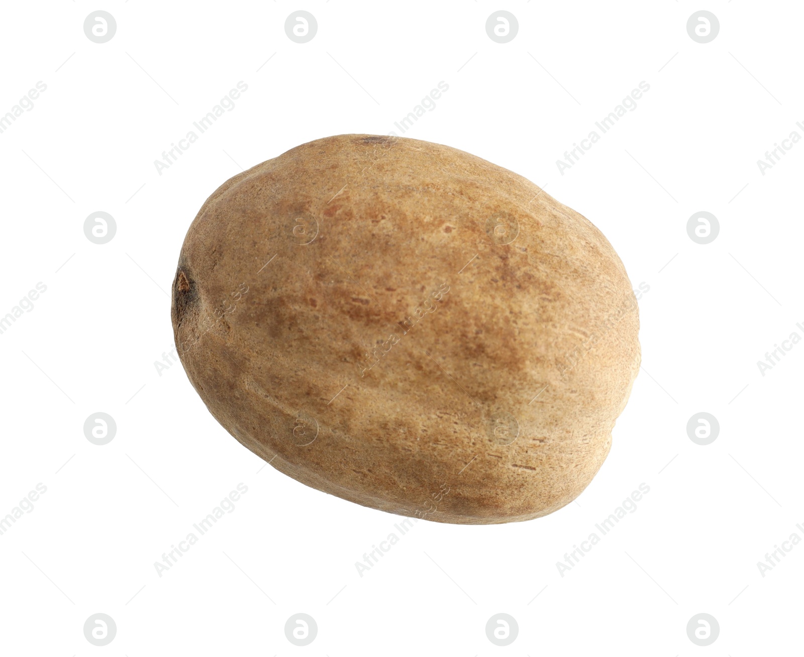 One whole nutmeg in air isolated on white Photo of One whole nutmeg in air isolated on white