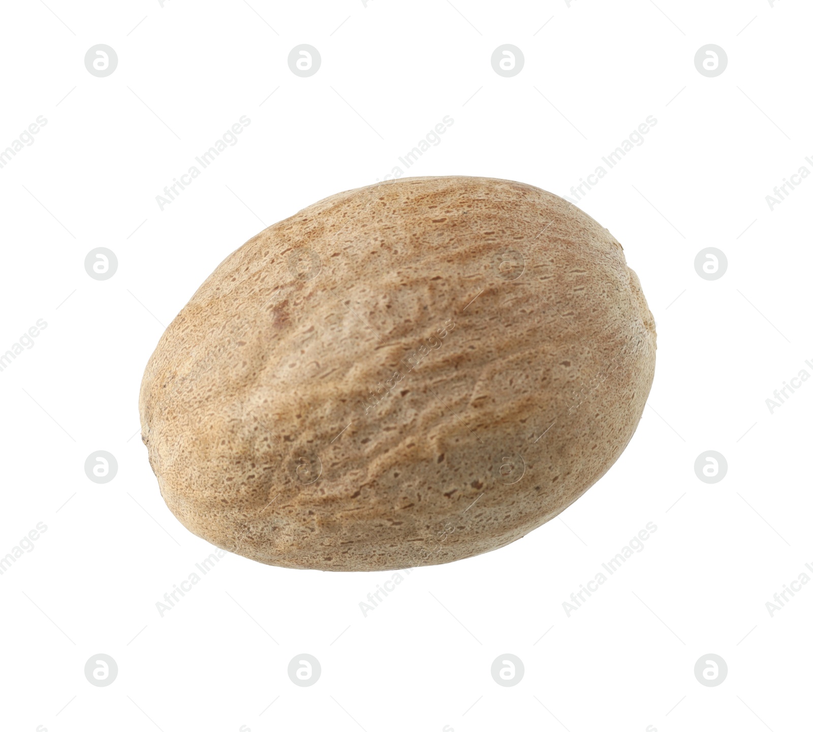 One whole nutmeg in air isolated on white Photo of One whole nutmeg in air isolated on white
