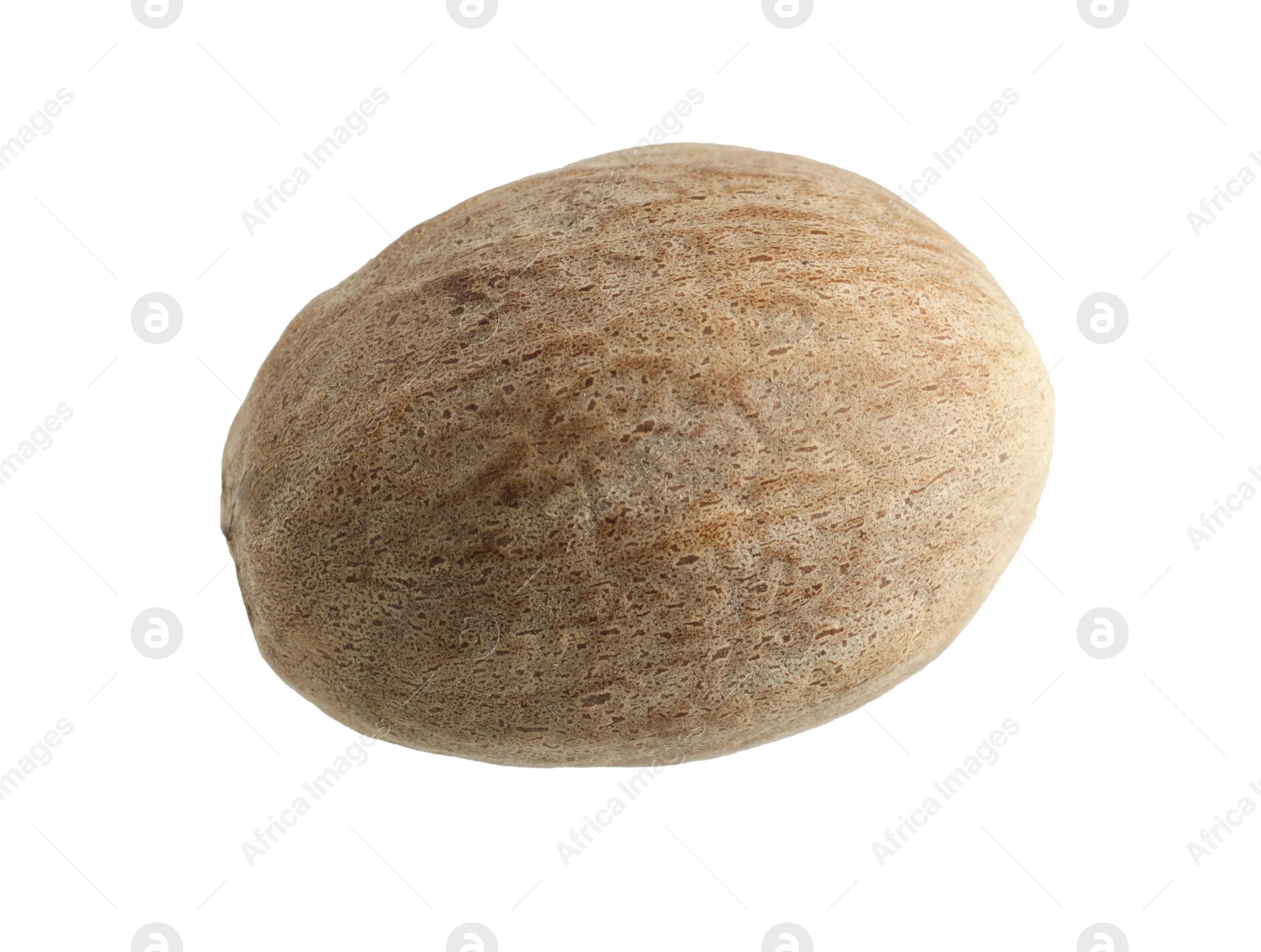 One whole nutmeg in air isolated on white Photo of One whole nutmeg in air isolated on white