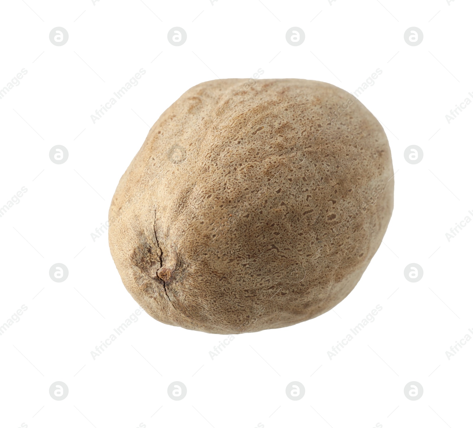 One whole nutmeg in air isolated on white Photo of One whole nutmeg in air isolated on white