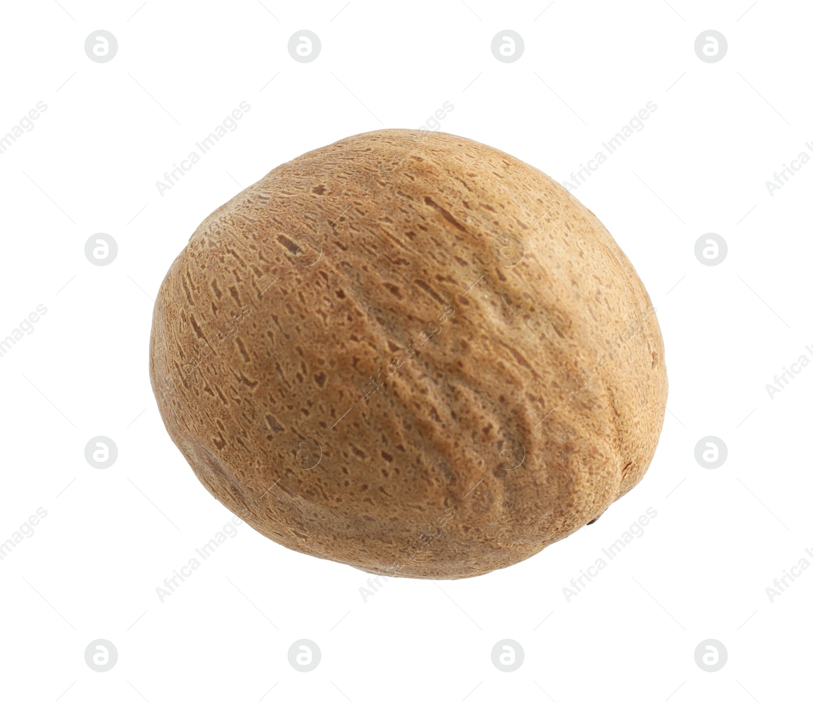 One whole nutmeg in air isolated on white Photo of One whole nutmeg in air isolated on white