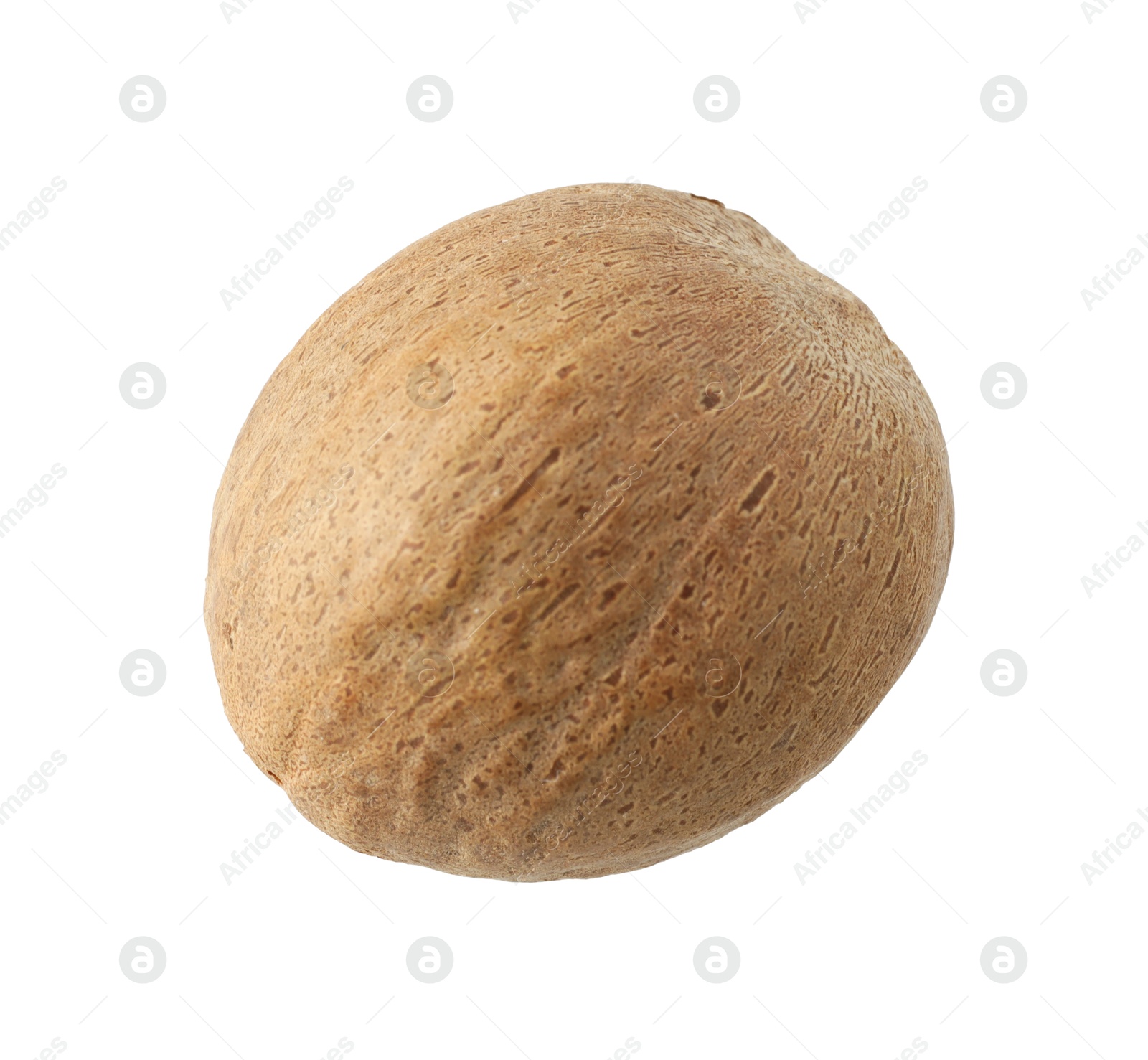 Photo of One whole nutmeg in air isolated on white