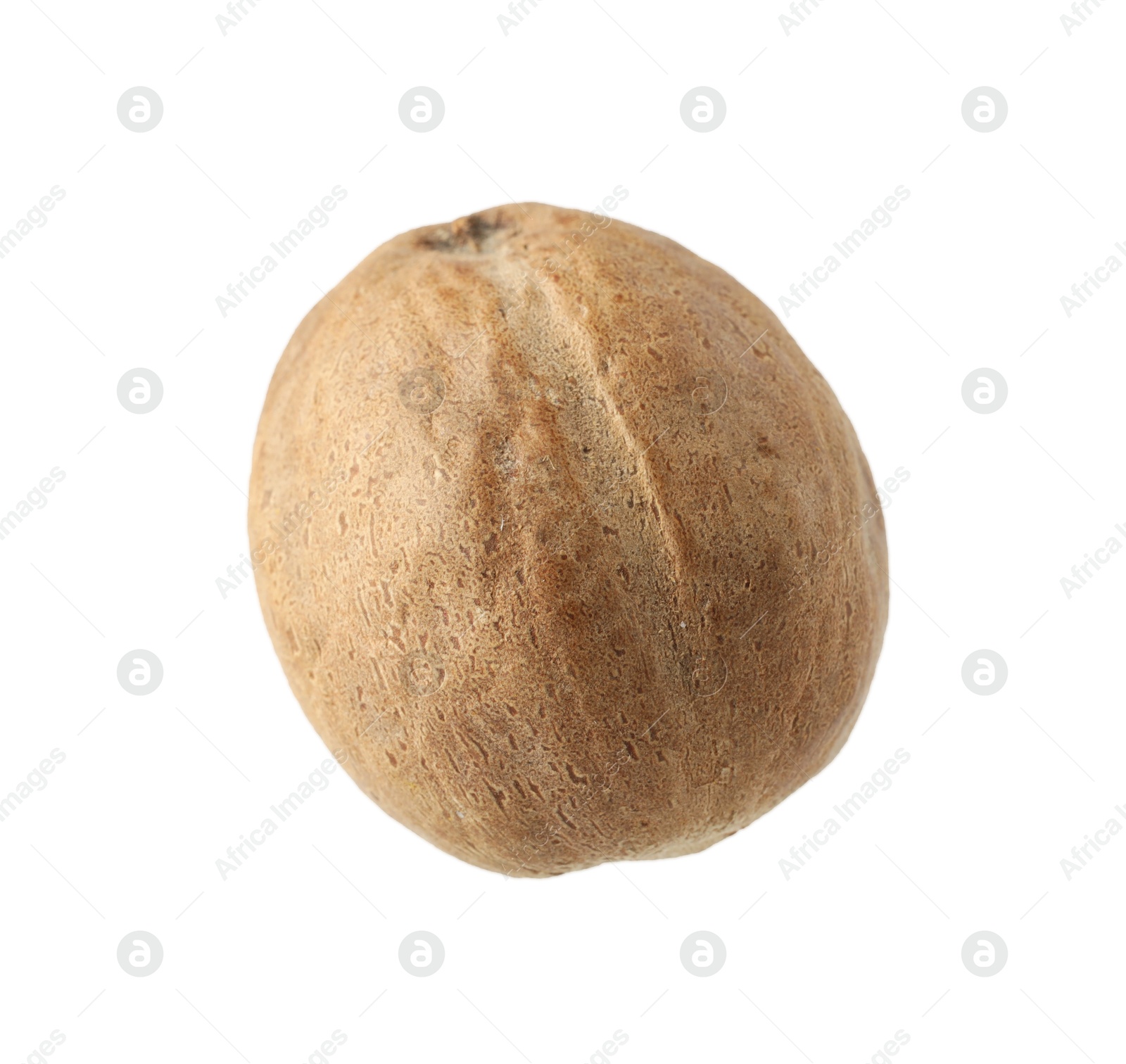 One whole nutmeg in air isolated on white Photo of One whole nutmeg in air isolated on white