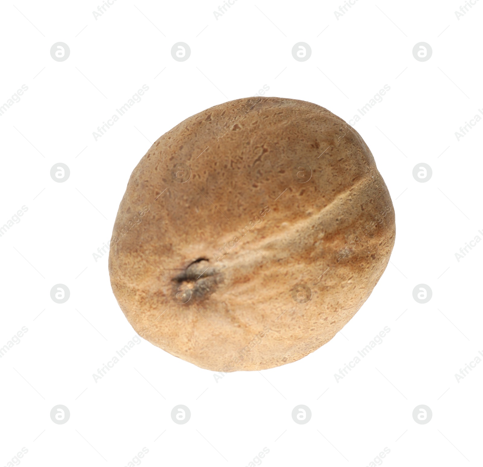 One whole nutmeg in air isolated on white Photo of One whole nutmeg in air isolated on white