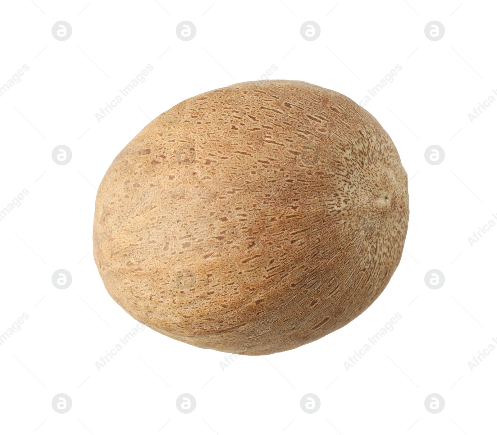 One whole nutmeg in air isolated on white Photo of One whole nutmeg in air isolated on white