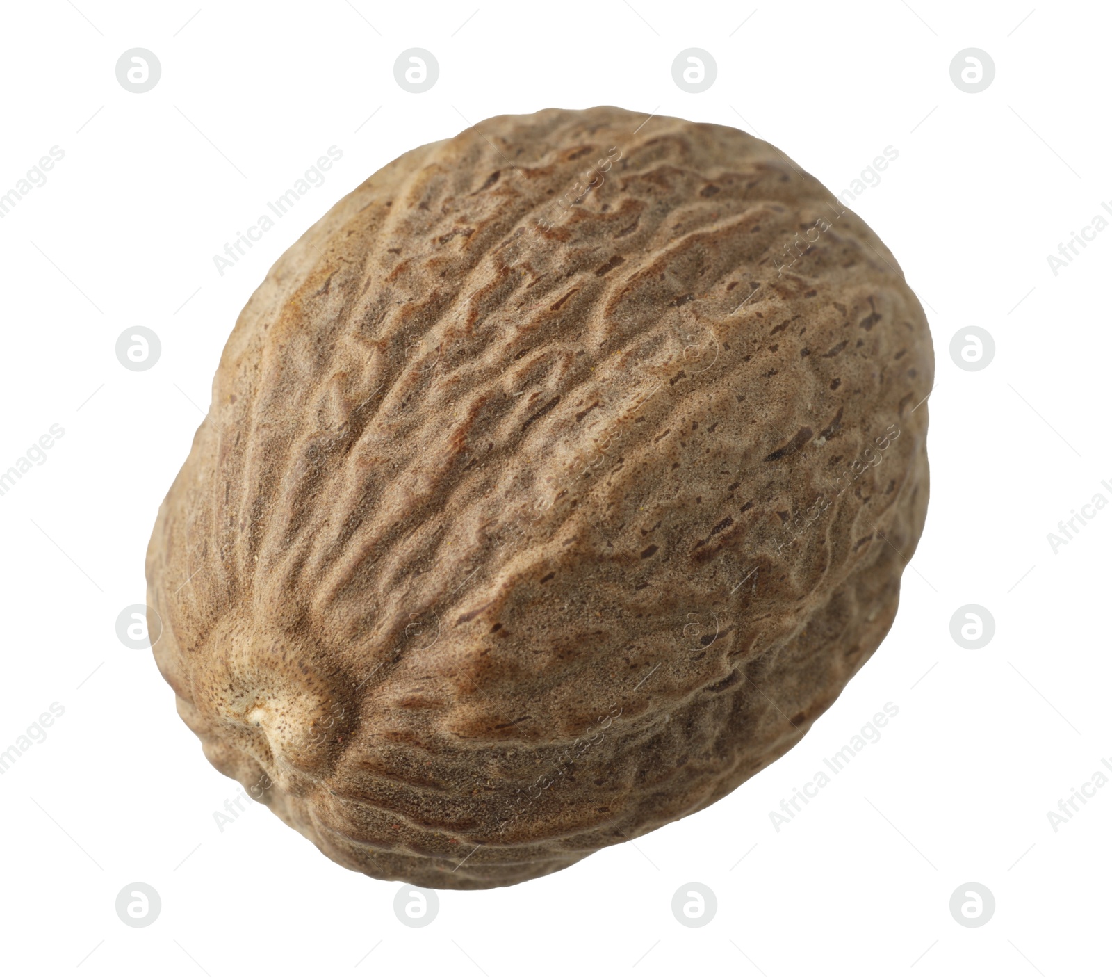 One whole nutmeg in air isolated on white Photo of One whole nutmeg in air isolated on white