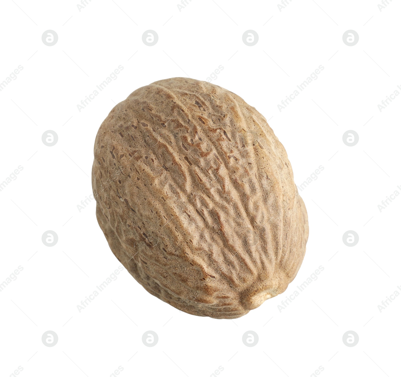 One whole nutmeg in air isolated on white Photo of One whole nutmeg in air isolated on white