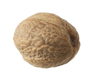 Photo of One whole nutmeg in air isolated on white