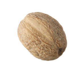 Photo of One whole nutmeg in air isolated on white