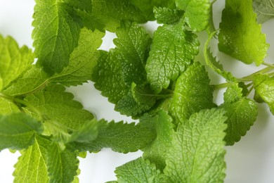 Photo of Fresh green lemon balm leaves on white background, top view