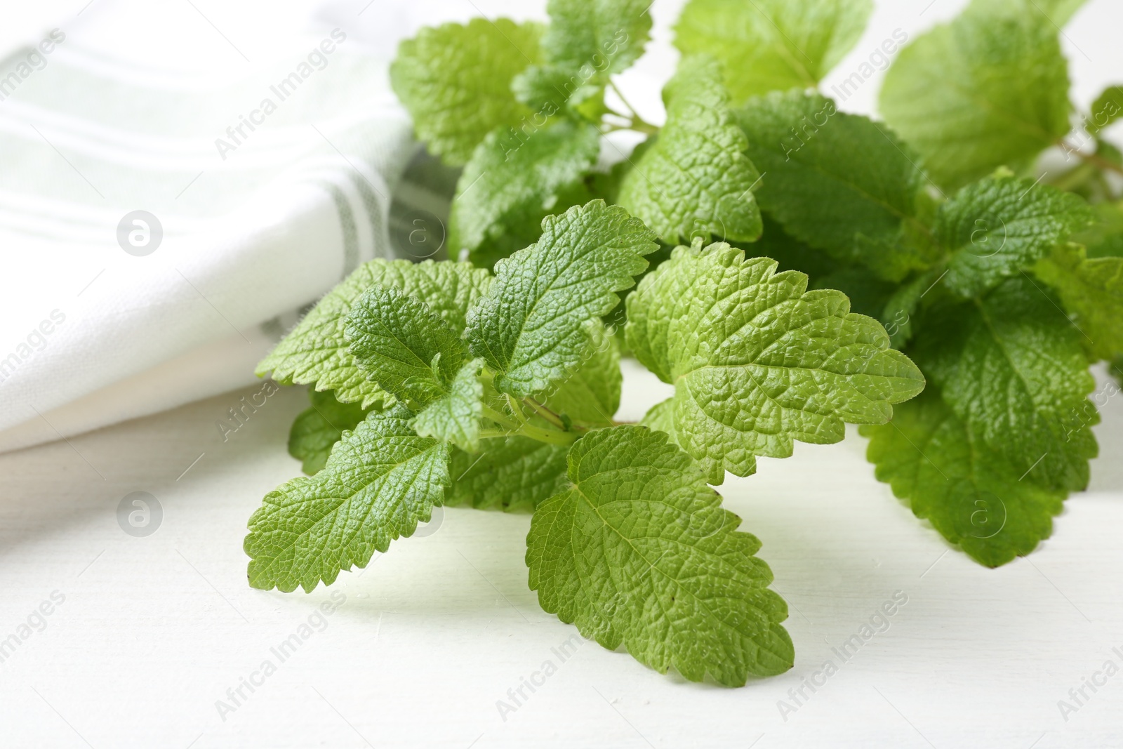 Fresh lemon balm leaves on white table, closeup Photo of Fresh lemon balm leaves on white table, closeup