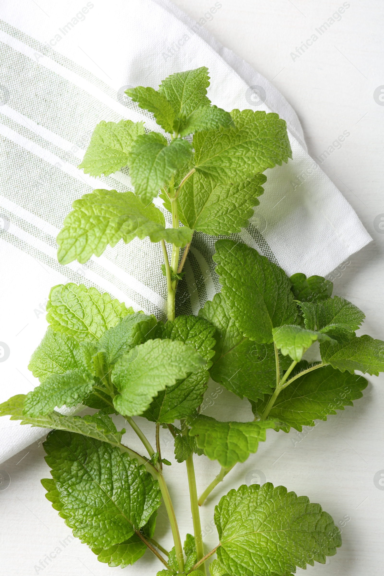 Fresh lemon balm leaves on white table, top view Photo of Fresh lemon balm leaves on white table, top view