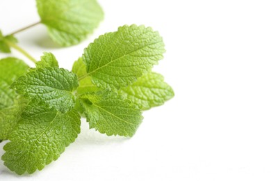 Photo of Fresh lemon balm leaves on white table, closeup. Space for text