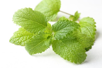 Photo of Fresh lemon balm leaves on white table, closeup