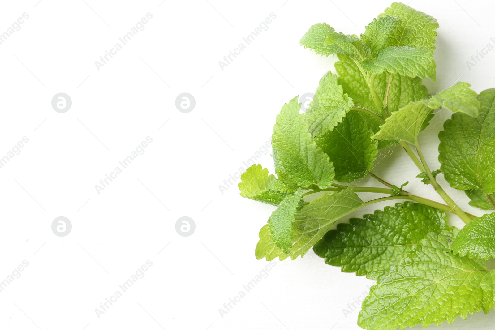 Fresh lemon balm leaves on white table, top view. Space for text Photo of Fresh lemon balm leaves on white table, top view. Space for text