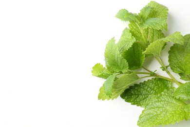 Photo of Fresh lemon balm leaves on white table, top view. Space for text