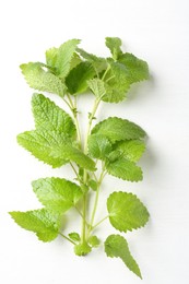 Photo of Fresh lemon balm leaves on white table, top view
