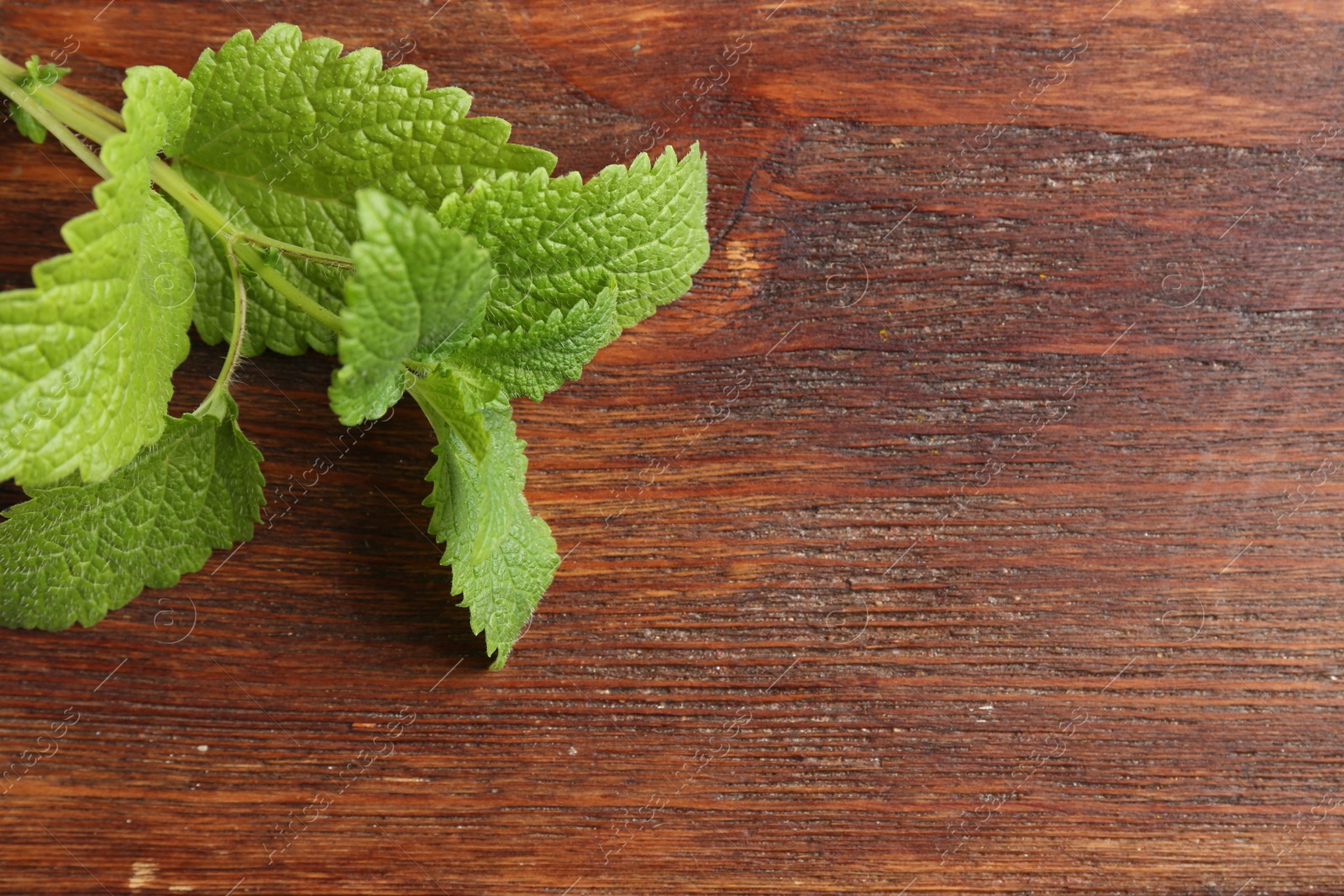 Fresh lemon balm leaves on wooden table, top view. Space for text Photo of Fresh lemon balm leaves on wooden table, top view. Space for text