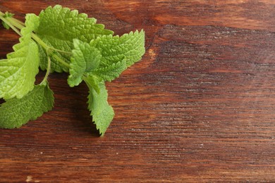Photo of Fresh lemon balm leaves on wooden table, top view. Space for text