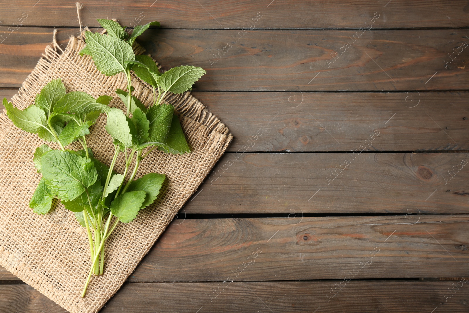 Fresh lemon balm leaves on wooden table, top view. Space for text Photo of Fresh lemon balm leaves on wooden table, top view. Space for text