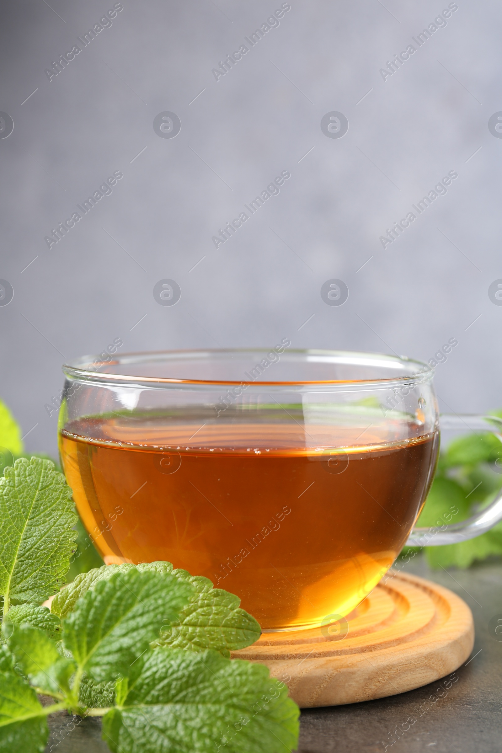 Aromatic lemon balm tea in glass cup and fresh leaves on gray table, closeup. Space for text Photo of Aromatic lemon balm tea in glass cup and fresh leaves on gray table, closeup. Space for text