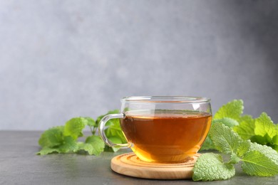 Photo of Aromatic lemon balm tea in glass cup and fresh leaves on gray table, space for text