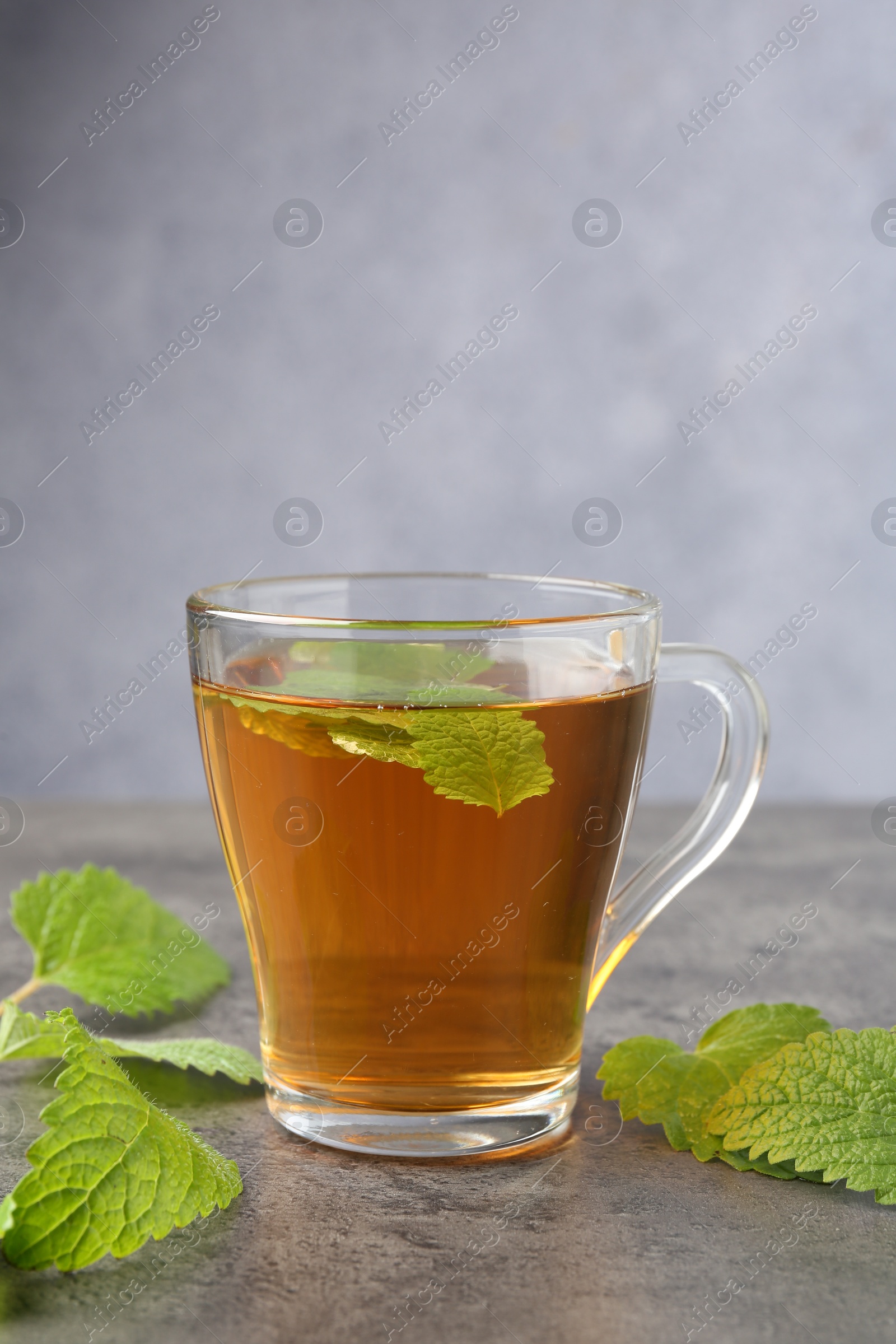 Aromatic lemon balm tea in glass cup and fresh leaves on gray textured table Photo of Aromatic lemon balm tea in glass cup and fresh leaves on gray textured table
