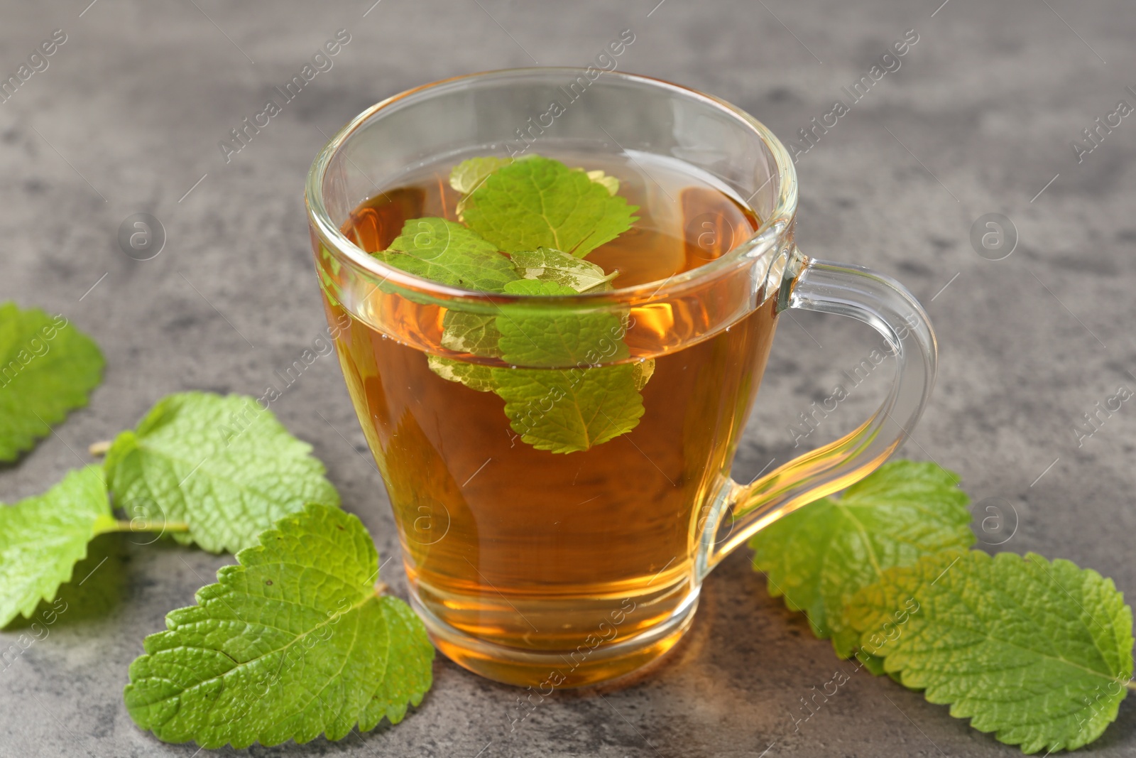 Aromatic lemon balm tea in glass cup and fresh leaves on gray textured table, closeup Photo of Aromatic lemon balm tea in glass cup and fresh leaves on gray textured table, closeup